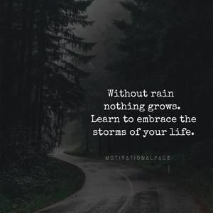 Meet your Posher, Miguel